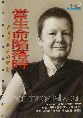 Cover of 當生命陷落時